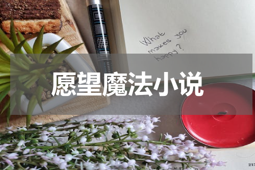 愿望魔法小说