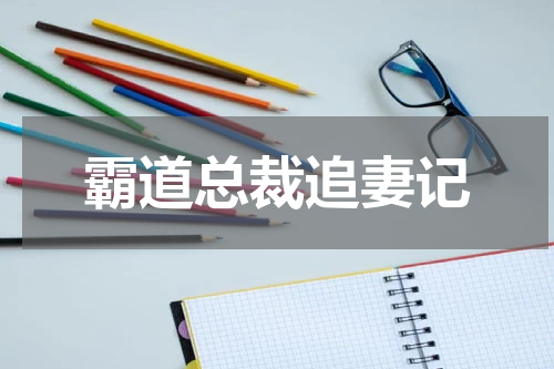 霸道总裁追妻记