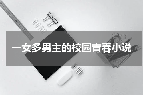 一女多男主的校园青春小说