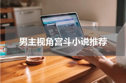 男主视角宫斗小说推荐