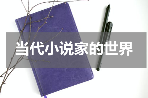 当代小说家的世界