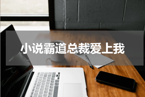小说霸道总裁爱上我