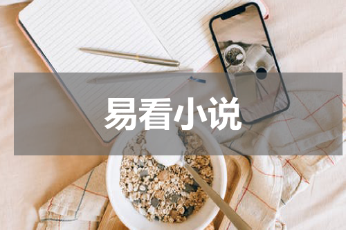 易看小说