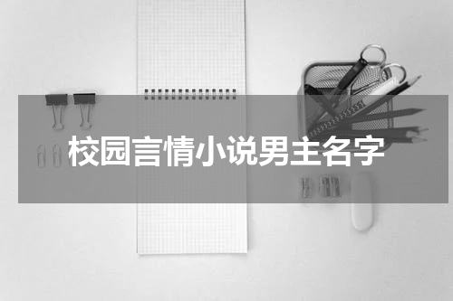 校园言情小说男主名字