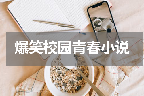 爆笑校园青春小说