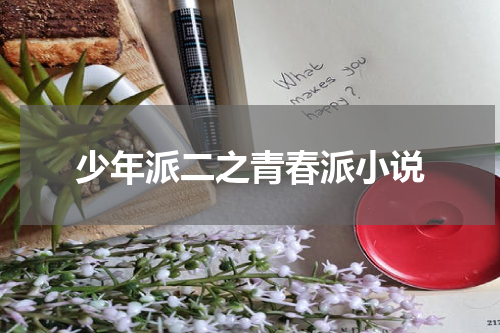 少年派二之青春派小说