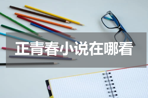 正青春小说在哪看