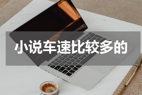 小说车速比较多的