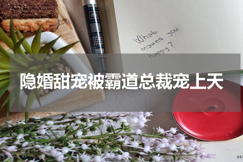 隐婚甜宠被霸道总裁宠上天