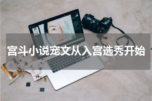 宫斗小说宠文从入宫选秀开始