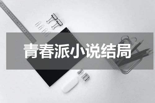 青春派小说结局