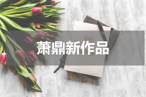 萧鼎新作品