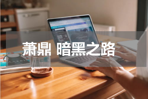 萧鼎 暗黑之路
