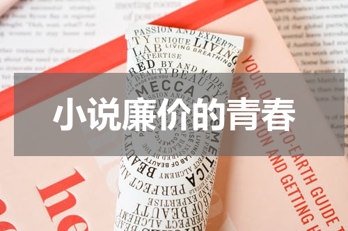 小说廉价的青春