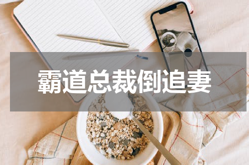 霸道总裁倒追妻