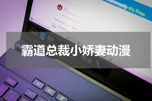 霸道总裁小娇妻动漫