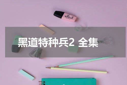黑道特种兵2 全集