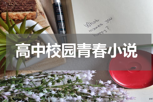 高中校园青春小说