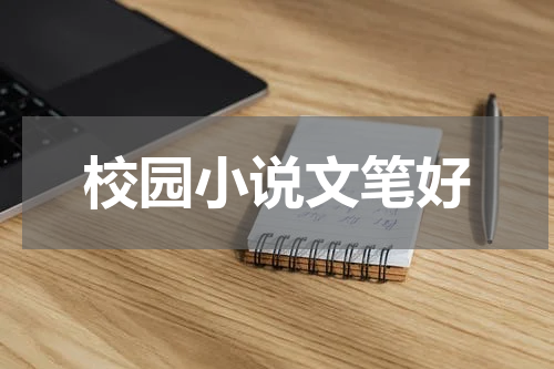 校园小说文笔好