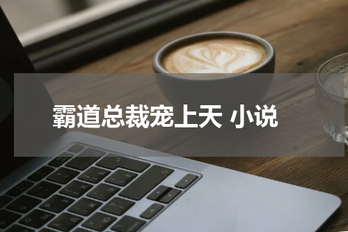 霸道总裁宠上天 小说