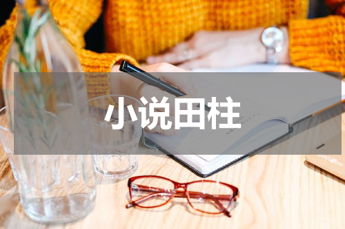 小说田柱