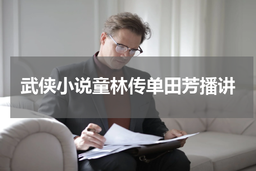 武侠小说童林传单田芳播讲