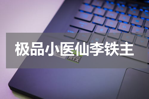 极品小医仙李铁主