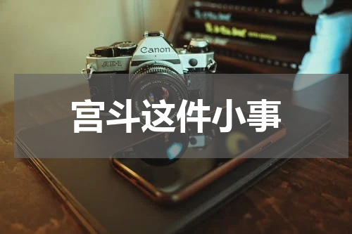 宫斗这件小事