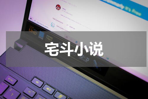 宅斗小说