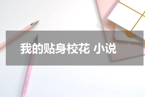 我的贴身校花 小说