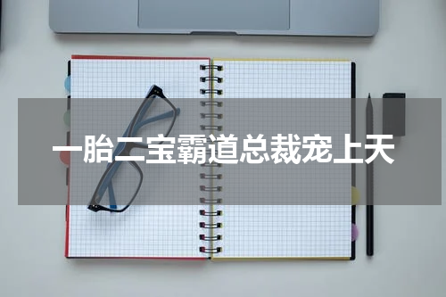一胎二宝霸道总裁宠上天