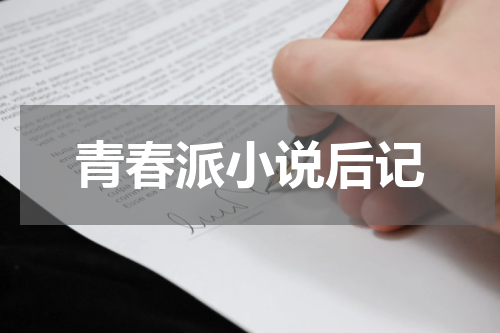 青春派小说后记