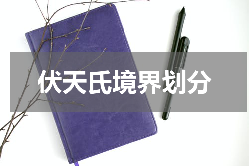 伏天氏境界划分