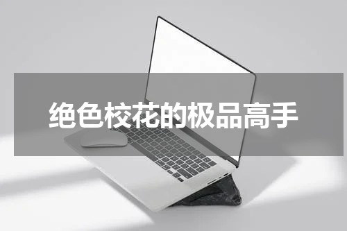 绝色校花的极品高手