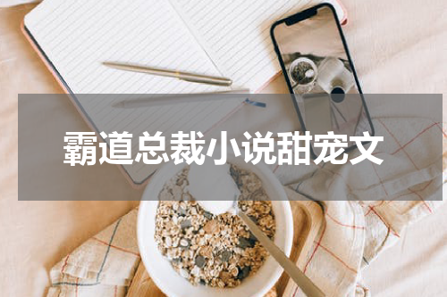 霸道总裁小说甜宠文