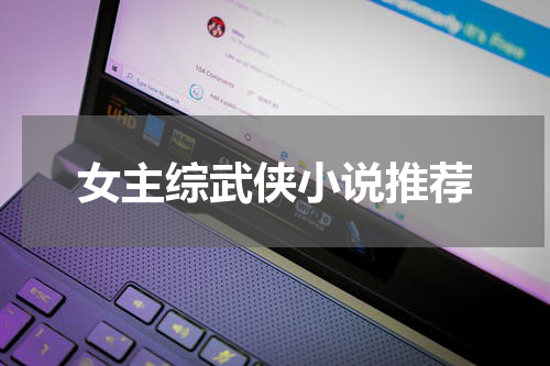 女主综武侠小说推荐