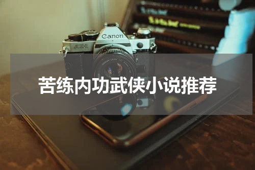 苦练内功武侠小说推荐