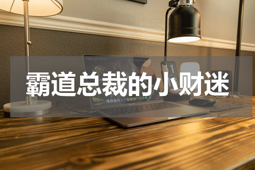 霸道总裁的小财迷