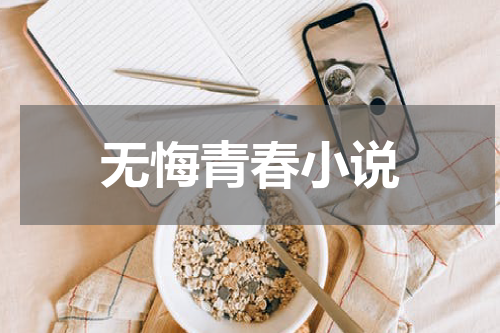 无悔青春小说