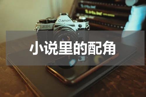 小说里的配角