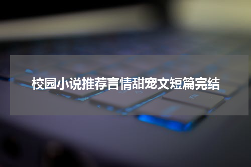 校园小说推荐言情甜宠文短篇完结