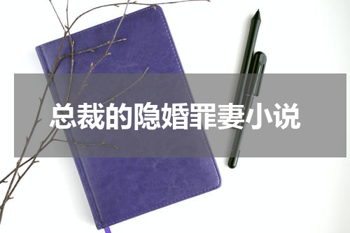 总裁的隐婚罪妻小说