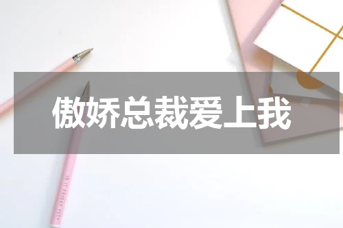 傲娇总裁爱上我