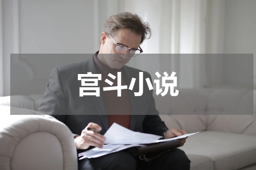 宫斗小说