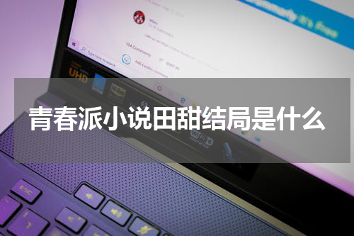 青春派小说田甜结局是什么