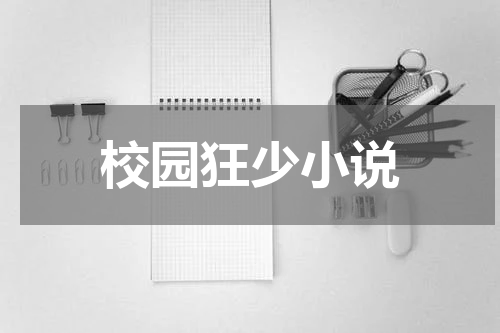 校园狂少小说