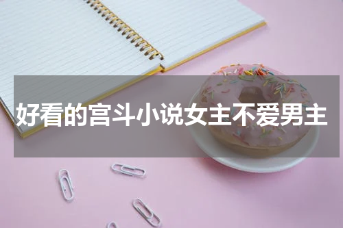 好看的宫斗小说女主不爱男主