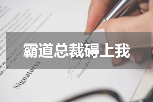 霸道总裁碍上我