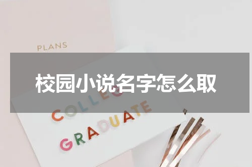 校园小说名字怎么取