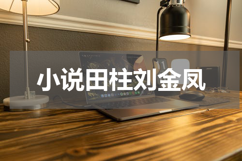 小说田柱刘金凤